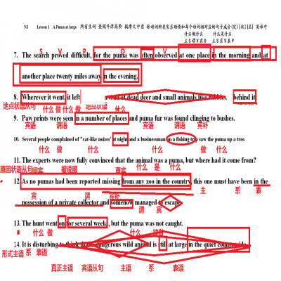 N3 L1 sentences